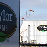 This Week in Taylor Farms Fuck Ups Business 2285922020