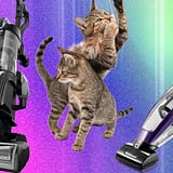 The Best Vacuums for Pet Hair